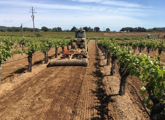 Sonoma County Winegrowers