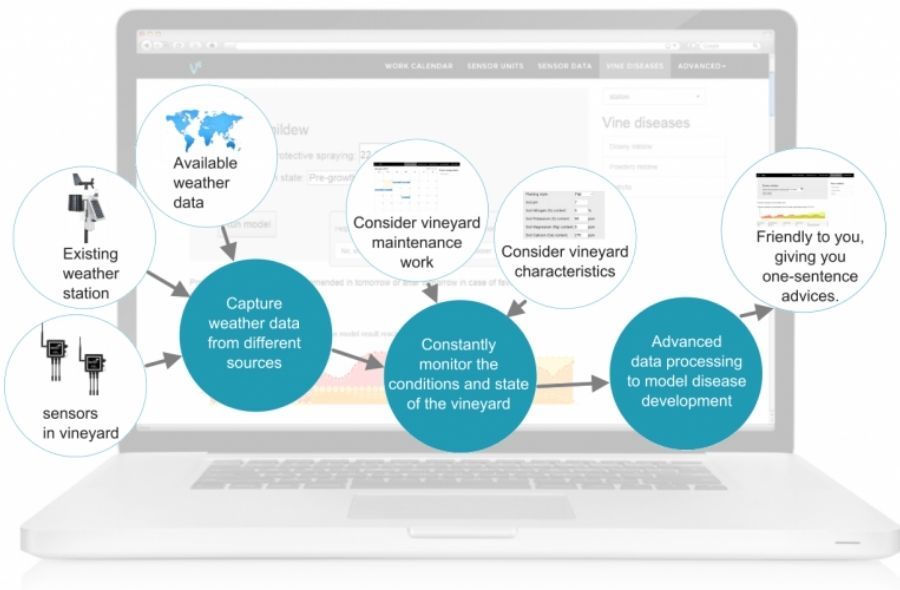 Photo for: How IoT is revolutionizing the Wine and Spirits Industry