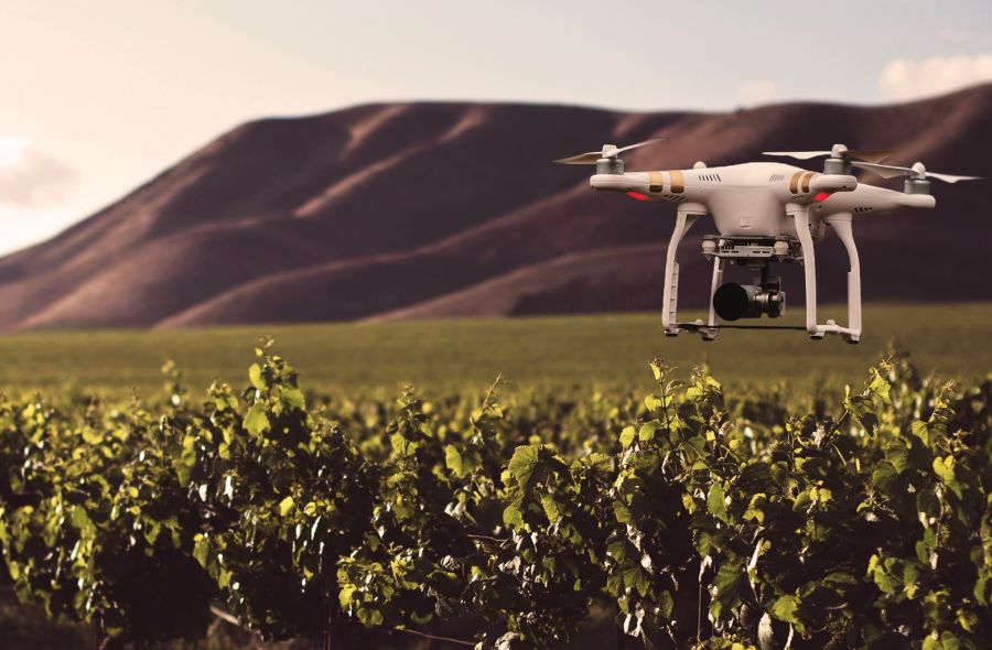 Photo for: 10 Ways the Future of Wine Is Changing Faster Than You Think