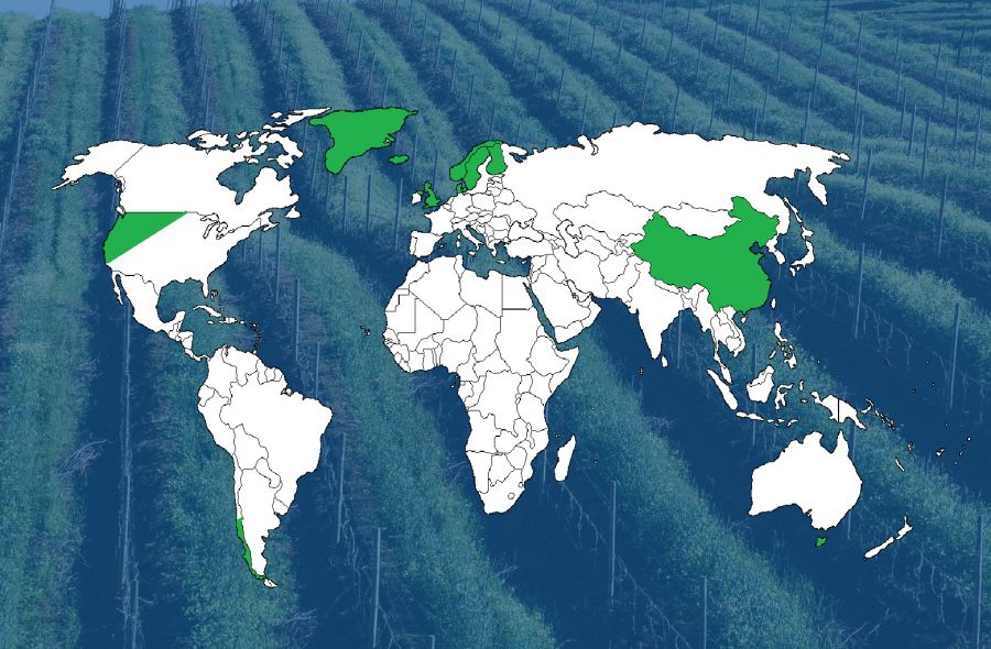 Photo for: How Climate Change is Re-Drawing the Wine Map of the World