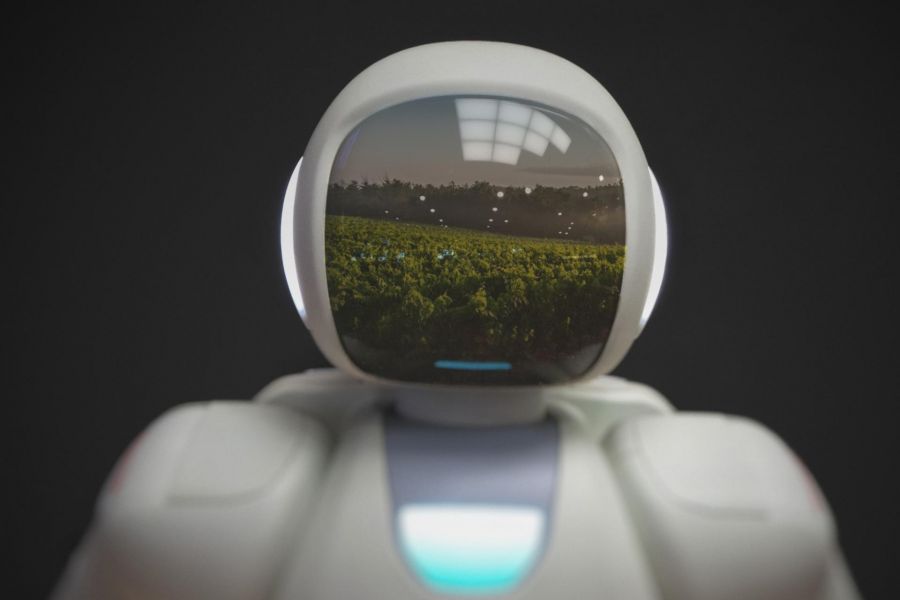 Photo for: How Robots Are Lending A Helping Hand In The Wine Industry